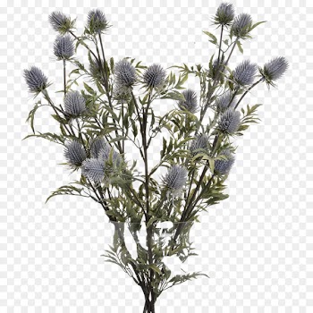 Flower, Artificial Flower, Vase, Plant PNG