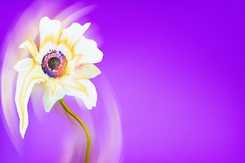 Flower background PSD, purple anemone… | Free stock illustration | High Resolution graphic