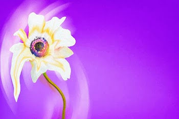 Flower background vector, purple anemone… | Free stock illustration | High Resolution graphic