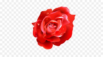 Flower Balloon Red - rose 