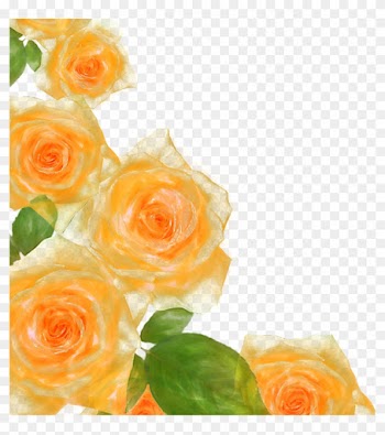Flower Beach Rose Picture Frame Watercolor Painting - Yellow Roses Png Water Color
