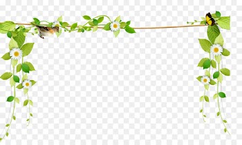 Flower - Beautiful fresh vines border rope 