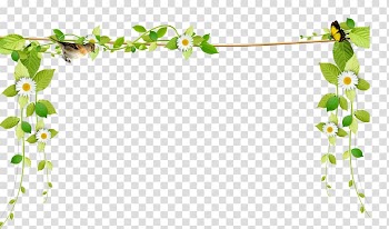 Flower, Beautiful fresh vines border rope, green and white floral wreath transparent background PNG clipart