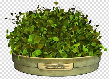 , flower bed transparent background PNG clipart