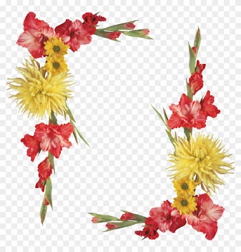 Flower Biology Ornament Vignette Photography - Gladiolus Border