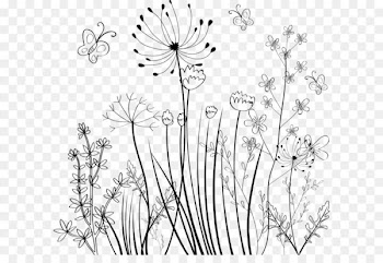 Flower Black and white Ornament - Hand painted plants 