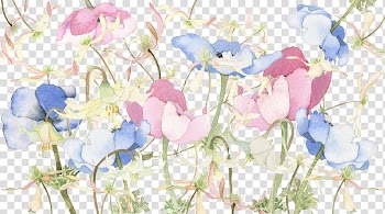 Flower Blog Flickr Floral design Desktop , blooming lilies transparent background PNG clipart