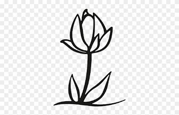 Flower, Bloom, Growth, Expansion, Leaf, Leafage, Nature - Black And White Tulip Png