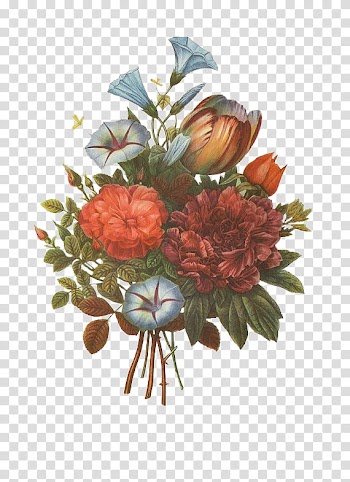 Flower, blooming red petaled flowers transparent background PNG clipart