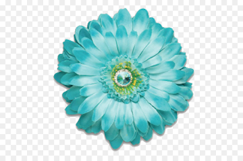 Flower Blue Aqua Color Teal - gerbera png download - 550*600 - Free ...