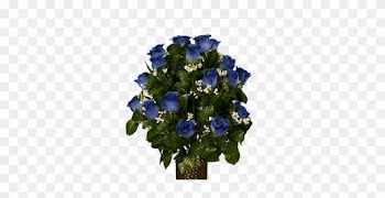 Flower - Blue Rose