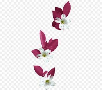 Flower Bokmxc3xa4rke Clip art - White lily decoration 