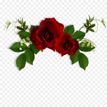Flower Bokmxe4rke Clip art - Rose pattern 