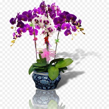 Flower Bonsai - Purple vase 