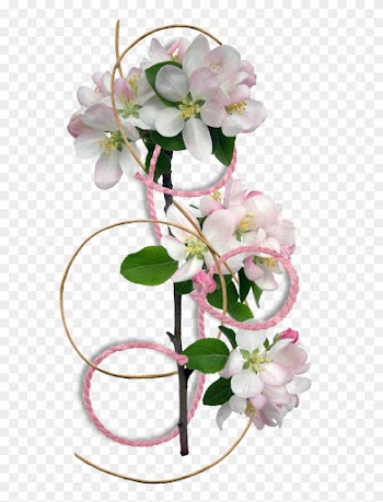 Flower Border Clipart - Flower Border