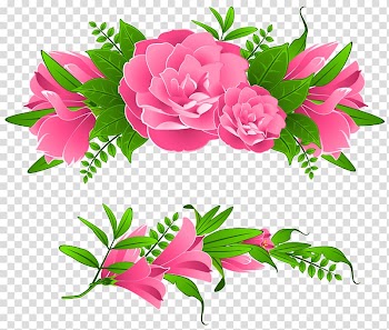 Flower , border flowers transparent background PNG clipart