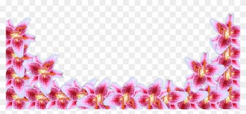 Flower Border Line 15, Buy Clip Art - Transparent Pink Flower Border