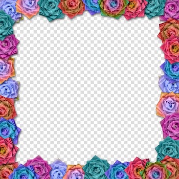 , Flower Border Line Design transparent background PNG clipart