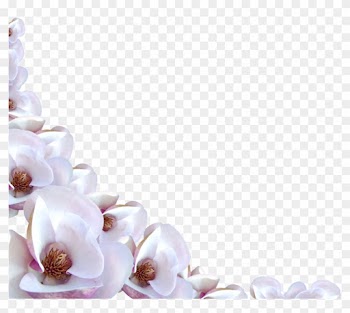 Flower Border Photo By Doves Of Flight - White Flower Border Png