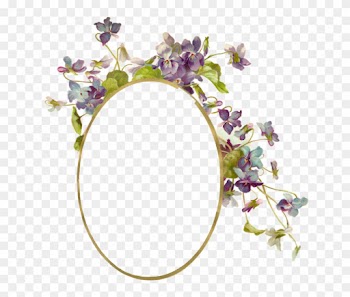 กรอบรูปดอกไม้ - Flower Borders And Frames
