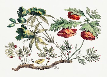 Flower Bough, from "Recueil de Fleurs Chinois" by Jean&ndash;Baptiste Pillement (1728&ndash;1808). Original from The Smithsonian. Digitally enhanced by rawpixel.