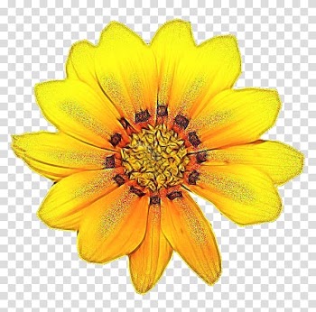 Flower bouquet Autumn leaf color Birthday, flower transparent background PNG clipart