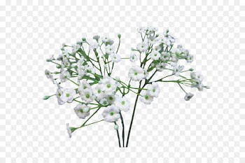 Flower bouquet Baby's-breath Infant Artificial flower - baby breath 