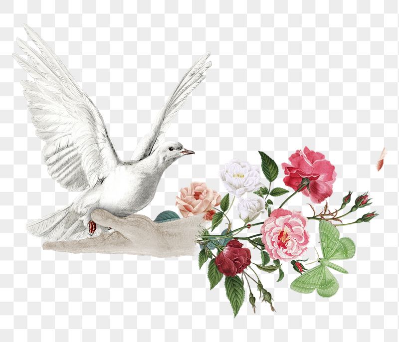 Flower bouquet bird png sticker, | Free PNG - rawpixel