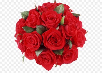 Flower bouquet Birthday cake Gift - Red Roses Bouquet PNG Clipart 