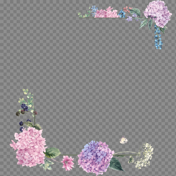 Flower Bouquet Blossom Purple Design Floral Borders
