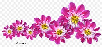 Flower bouquet Blume Clip art - flower 