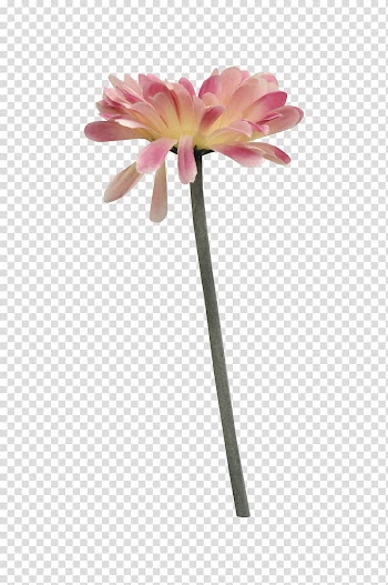Flower bouquet, Bouquet of flowers transparent background PNG clipart