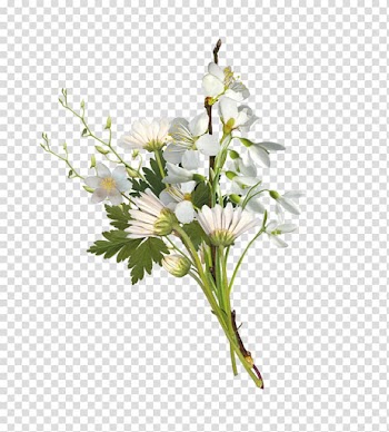 Flower bouquet Chess 2017 , Small bouquet of white chrysanthemums transparent background PNG clipart