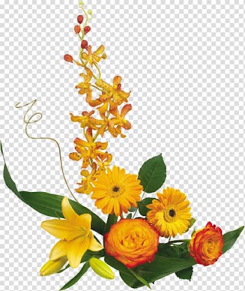 Flower bouquet , chrysanthemum transparent background PNG clipart