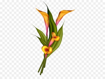 Flower bouquet Clip art Drawing Image - sublimacion illustration 