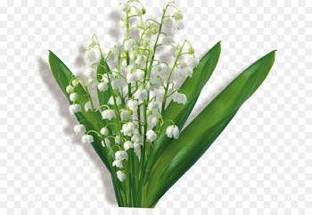 Flower bouquet Clip art Lily of the valley GIF - flower 