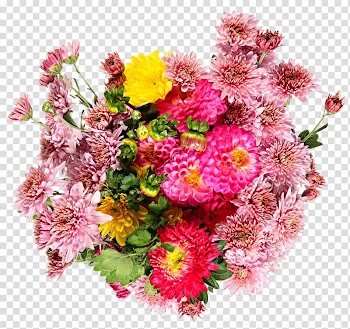 Flower bouquet Common daisy Dahlia, Daisy Bouquet transparent background PNG clipart