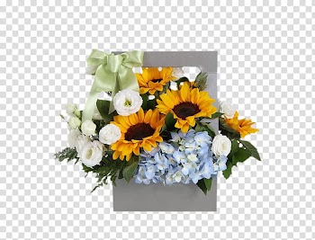 Flower bouquet Common sunflower Beach rose Hydrangea, Sunflower Blue Hydrangea White bellflower gift transparent background PNG clipart