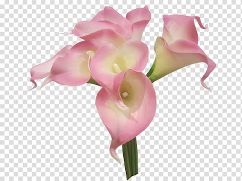 Flower bouquet Cut flowers Artificial flower Lilium, flower transparent background PNG clipart