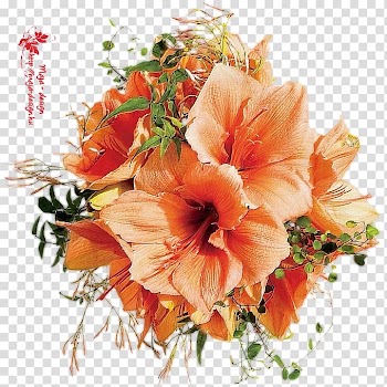 Flower bouquet Cut flowers Clothing Spring, flower transparent background PNG clipart