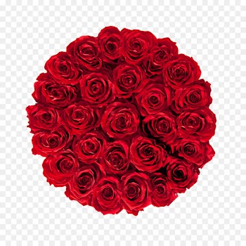 Flower bouquet Cut flowers Garden roses Rosa gallica - preserved 
