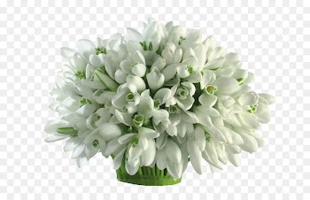 Flower bouquet Desktop Wallpaper Image Photograph - narcissus 