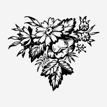 Flower bouquet drawing, vintage botanical | Free Photo - rawpixel