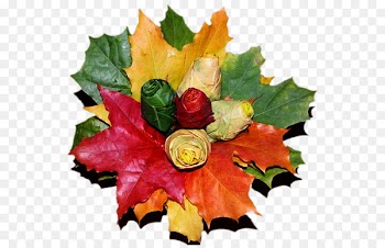 Flower bouquet Floral design Cut flowers Autumn Bouquet. Portrait of Vera Repina - fiori 