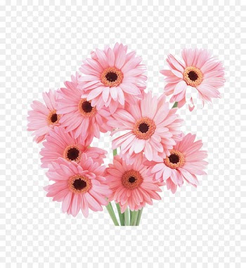 Flower bouquet Floristry Tulip Wallpaper - Bouquet of chrysanthemums 