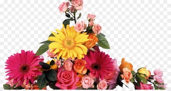 Flower Bouquet, Flower, Transvaal Daisy, Bouquet PNG