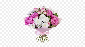 Flower bouquet Garden roses Chrysanthemum Pink Transvaal daisy - Pink Bouquet 