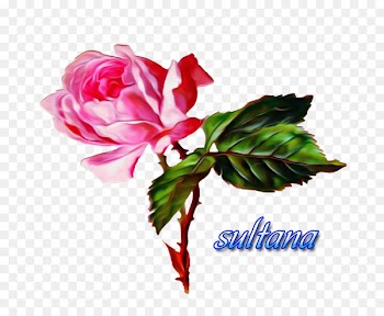 Flower bouquet Garden roses Floral design - flower 