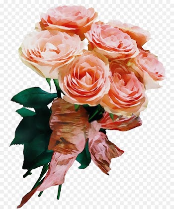 Flower Bouquet, Garden Roses, Flower PNG