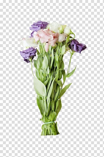 Flower bouquet, Hand-painted bouquet of flowers transparent background PNG clipart